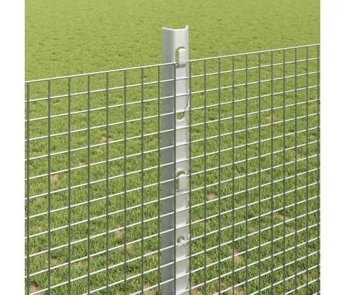 Tvora Ir Stulpas Sidabro 1,2 X 25 M Plienas