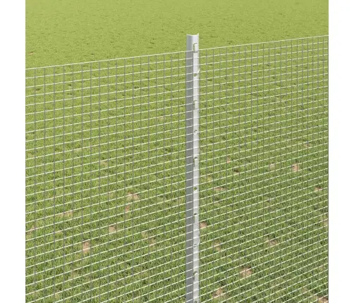 Aed Koos Postidega Hõbedane 1.6 X 25 M Teras