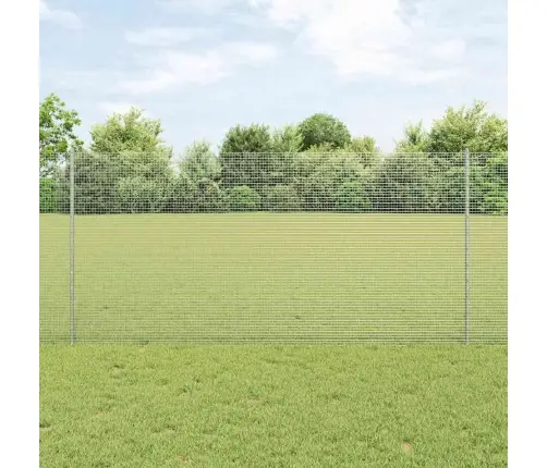 Aed Koos Postidega Hõbedane 1.2 X 50 M Teras