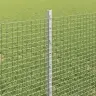 Metināta Stieple Ar 44 U Stabiem Sudraba 0.8X100 M Tērauds Vidaxl