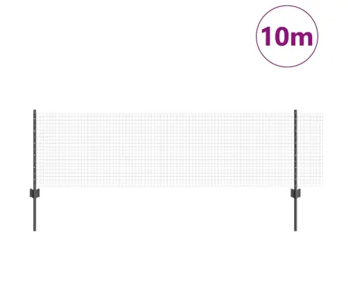 Aed Koos Postiga Hall 0,6 X 10 M Terased Ja Pvc