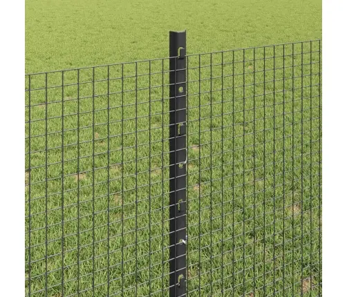 Tvora Su Stulpais Pilka 0.8 X 10 M Plienas