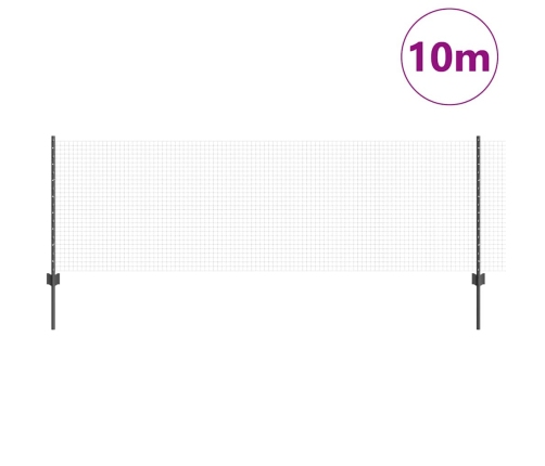Sastiprinātā Stieples Sēta Ar 5 U Mietiem Pelēks 0.8X10 M Tērauds Vidaxl