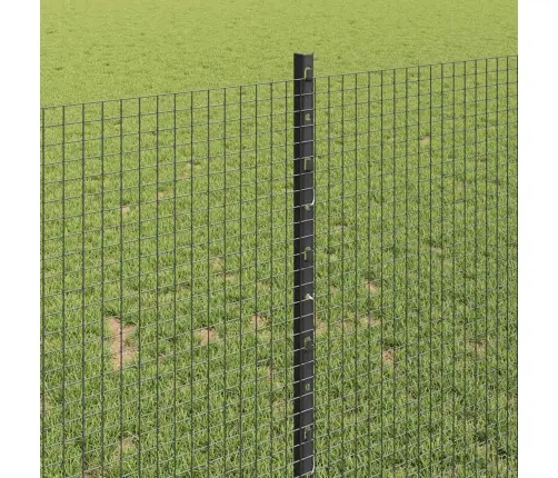 Vistu Sieta Žoga Komplekts 2 Gabali Pelēks Metāla 10 X 1 M Vidaxl