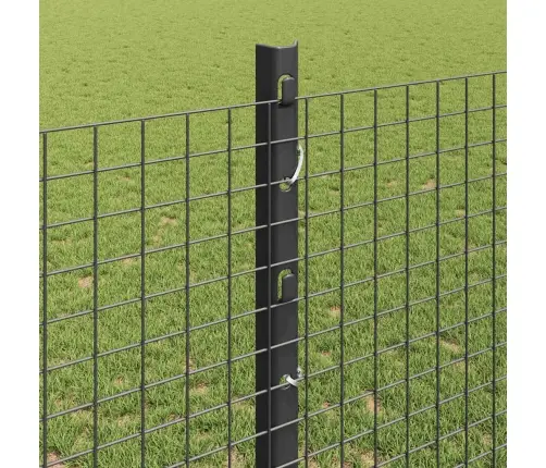 Aed Koos Postiga Hall 1,2 X 10 M Terased Ja Pvc