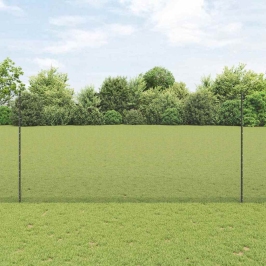Žogs Ar Stabiem. Pelēka 1.6 X 10 M Tērauds Vidaxl
