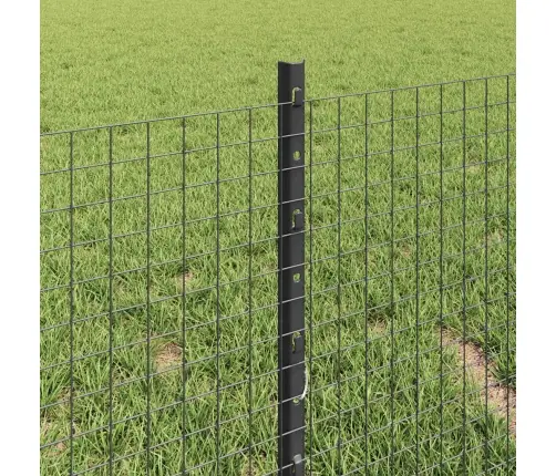 Tvora Ir Stulpas Pilka 0,4 X 25 M Plienas