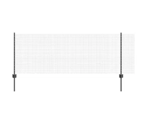 Aed Koos Postidega Hall 0.8 X 25 M Teras