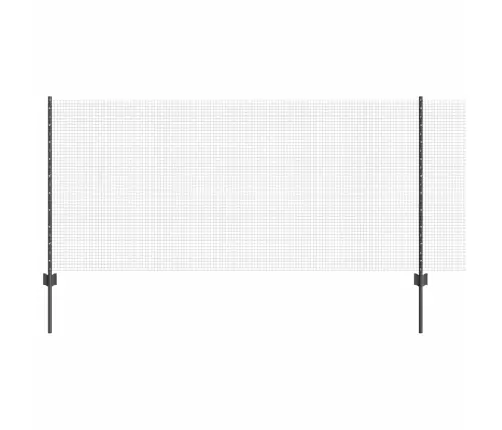 Aed Koos Postiga Hall 1 X 25 M Teras