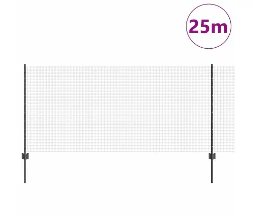 Aed Koos Postiga Hall 1 X 25 M Teras