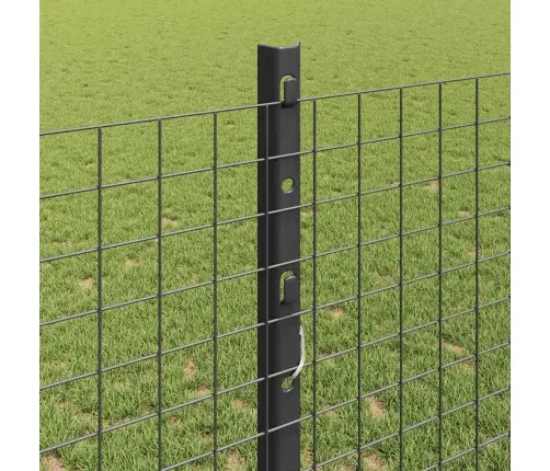 Tvora Ir Stulpas Pilka 1,2 X 25 M Plienas