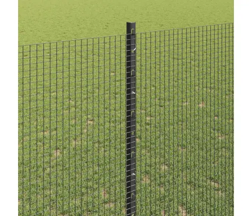 Aed Koos Postiga Hall 1,4 X 25 M Terased Ja Pvc