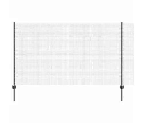 Aed Koos Postiga Hall 1,4 X 25 M Terased Ja Pvc