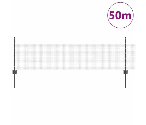 Aed Koos Postiga Hall 0,5 X 50 M Terased Ja Pvc