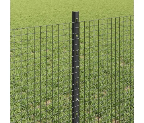 Tvora Su Stulpais Pilka 0.6 X 50 M Plienas