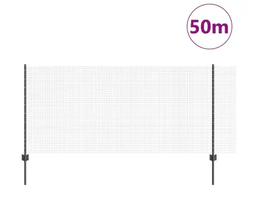 Tvora Su Stulpais Pilka 1 X 50 M Plienas