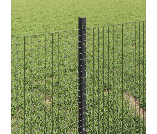 Aed Koos Postiga Hall 0,4 X 100 M Terased Ja Pvc