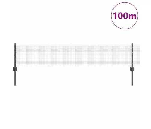Aed Koos Postiga Hall 0,4 X 100 M Terased Ja Pvc