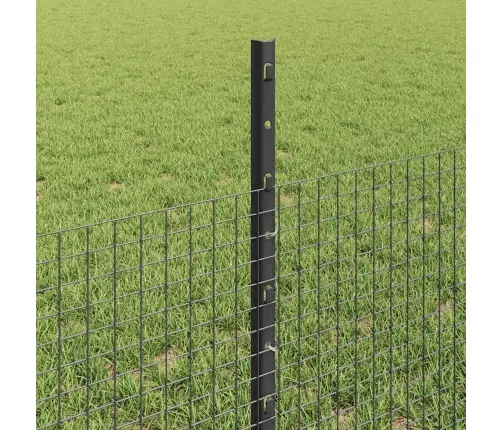 Metināts Tīkla Žogs Ar 44 U Stabiem Pelēks 0.5X100 M Tērauda Vidaxl