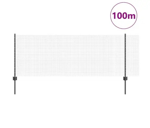 Tvora Ir Stulpas Pilka 0,8 X 100 M Plienas