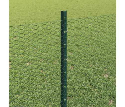 Tvora Su Stulpais Žalia 0,8 X 10 M Plienas Ir Pvc