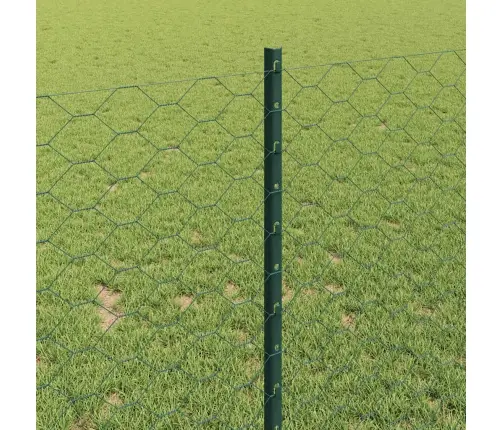 Tvora Su Stulpais Žalia 1 X 10 M Plienas