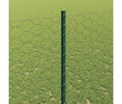 Aed Koos Postiga Roheline 1,4 X 50 M Terased Ja Pvc