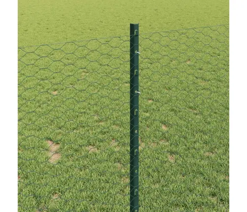 Tvora Su Stulpais Žalia 1 X 100 M Plienas Ir Pvc