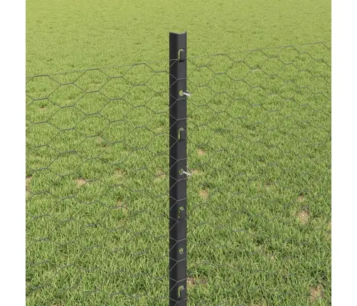 Žogs Ar Stabiem. Pelēka 0.8 X 10 M Tērauds Vidaxl