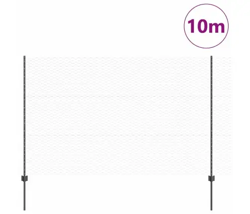 Aed Koos Postiga Hall 1,5 X 10 M Terased Ja Pvc