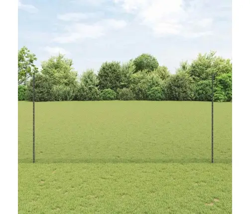 Aed Koos Postidega Hall 1.6 X 10 M Teras Aed Koos Postidega Hall 1.6 X 10 M Teras