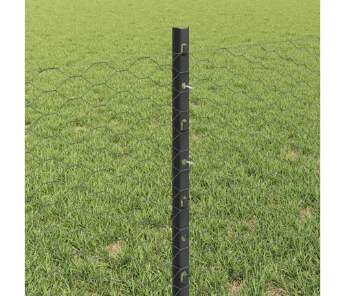 Tvora Su Stulpais Pilka 0.6 X 25 M Plienas