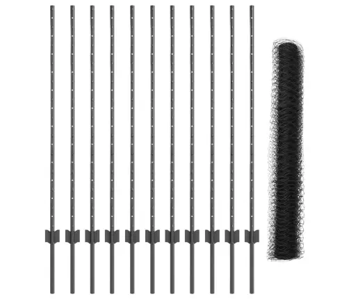 Aed Koos Postiga Hall 1,2 X 25 M Teras