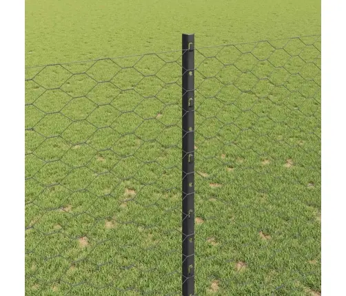 Dārza Žoga Komplekts 2 Gabali Pelēks Pulverkrāsots Tērauds Vidaxl