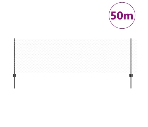 Tvora Su Stulpais Pilka 0.8 X 50 M Plienas