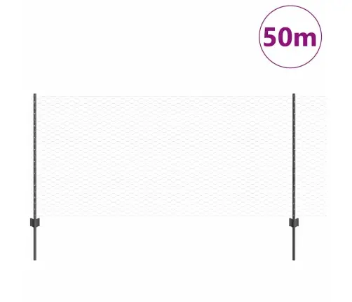 Aed Koos Postidega Hall 1 X 50 M Teras