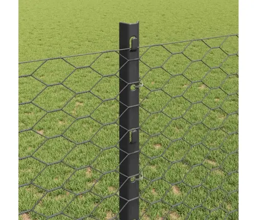 Aed Koos Postiga Hall 1,2 X 50 M Terased Ja Pvc