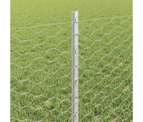 Aed Koos Postidega Hõbedane 0.6 X 10 M Teras