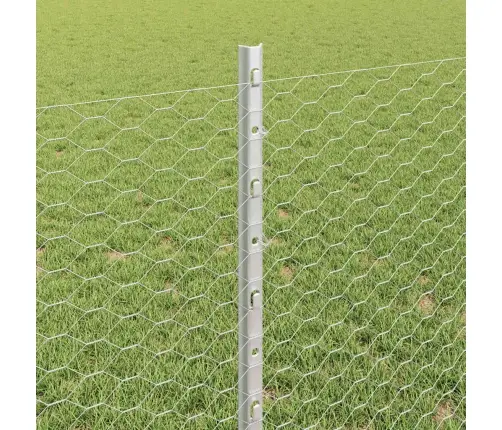 Žogu Stabi 5 Gab. U-Kanāls 80 Cm Galvanizēts Tērauds Vidaxl