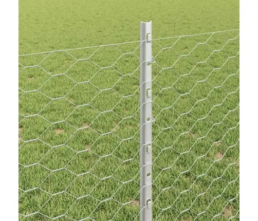 Aed Koos Postiga Hõbedane 0,8 X 10 M Teras