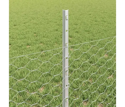 Aed Koos Postiga Hõbedane 0,5 X 25 M Teras