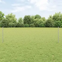 Žogs Ar Stabiem. Sudraba 0.5 X 25 M Tērauds Vidaxl