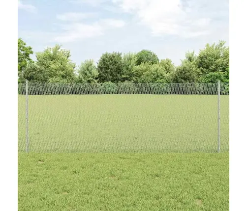 Aed Koos Postidega Hõbedane 0.8 X 25 M Teras