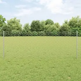 Žogs Ar Stabiem. Sudraba 0.8 X 25 M Tērauds Vidaxl
