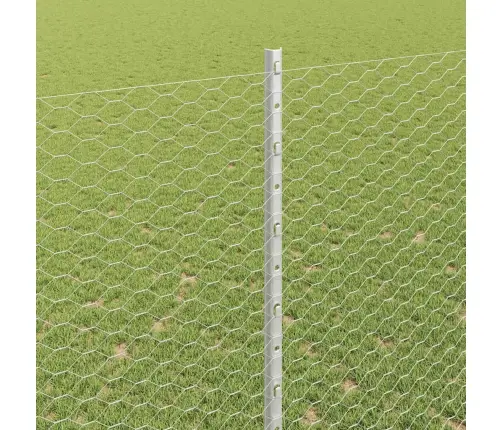 Aed Ja Post Hõbedane 1,6 X 25 M Teras