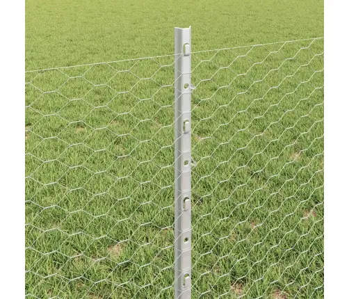 Aed Koos Postidega Hõbedane 0.6 X 50 M Teras