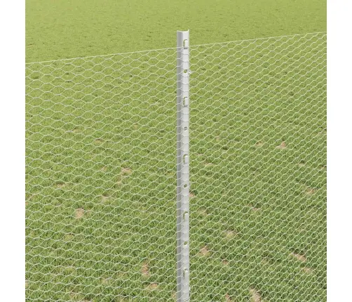 Aed Koos Postiga Hõbedane 1,4 X 50 M Teras