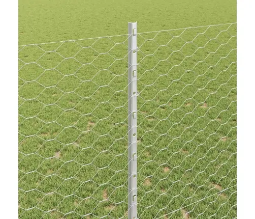 Aed Koos Postiga Hõbedane 1,4 X 50 M Teras