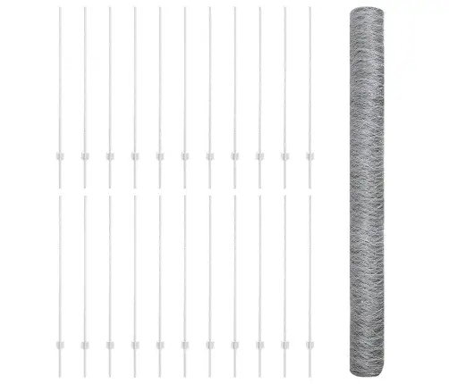 Aed Koos Postiga Hõbedane 1,4 X 50 M Teras