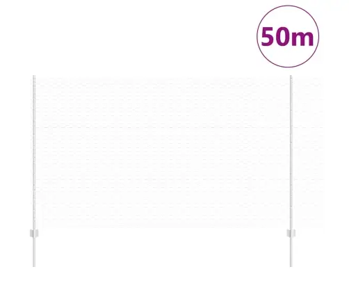 Aed Koos Postiga Hõbedane 1,4 X 50 M Teras